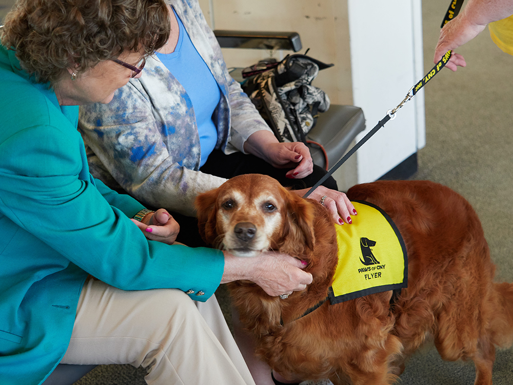 Flyer_Greets_Seated_Passengers_Airport_Pet_Therapy