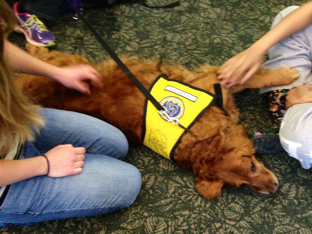 PAWS of CNY Pet Therapy SUNY ESF