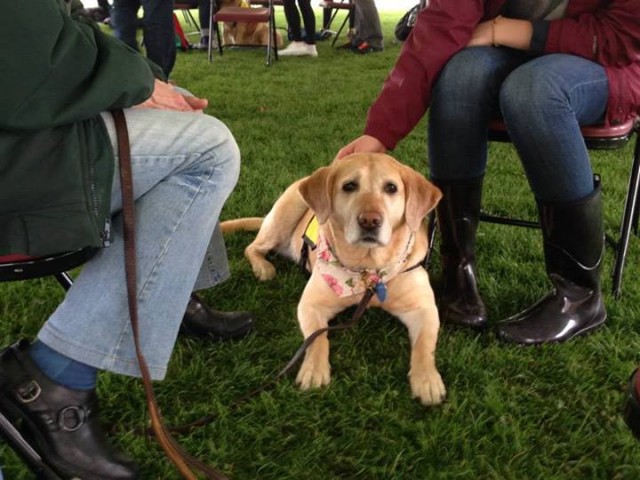 Winter attends the PAWS for Stress event at Syracuse University