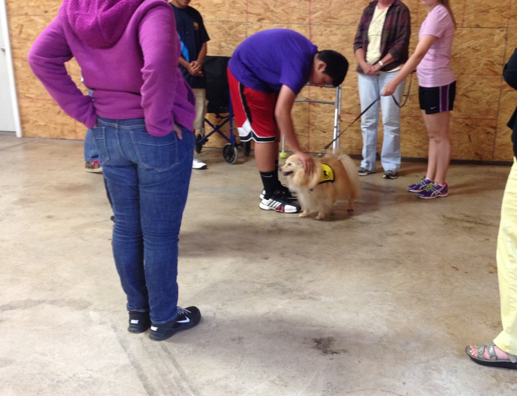 LPP Students in Syracuse Learn About Pet Therapy