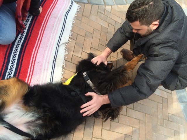 pet therapy at watson hall