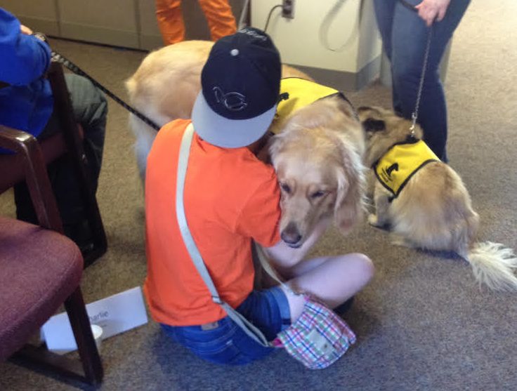 Pet Therapy at Syracuse University