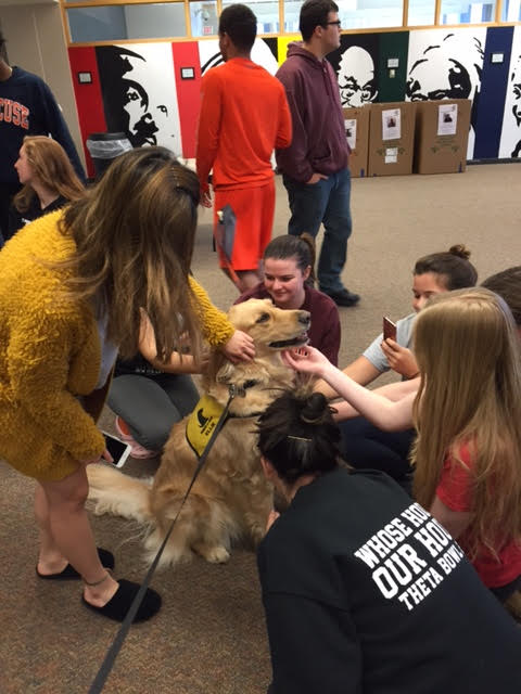 Pet Therapy Syracuse University