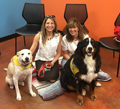 Pet Therapy at SkyZone