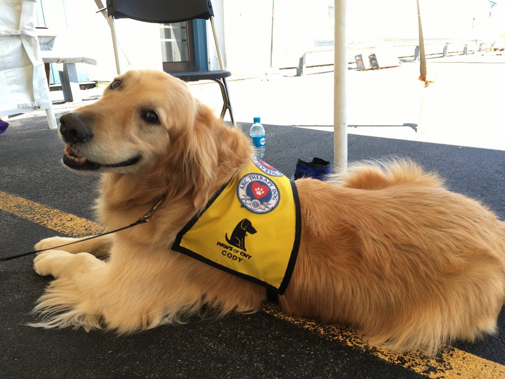 Therapy Dogs in Oswego