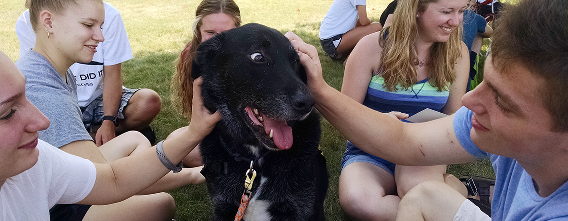 slider_photo_suny_owego_de-stress