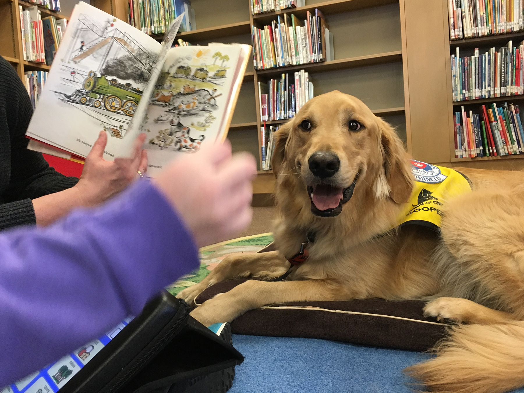 pet_therapy_reading_program_cooper_1800