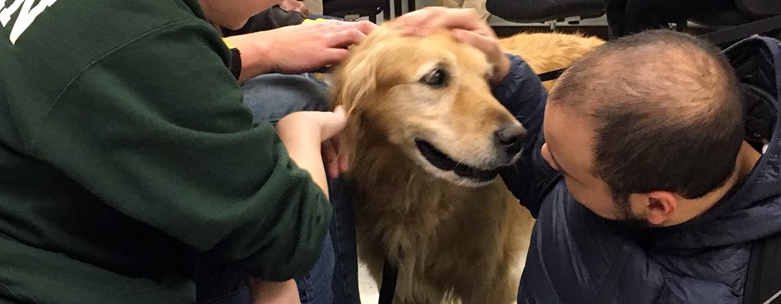 morrisville_pet_therapy_cody_and_friends