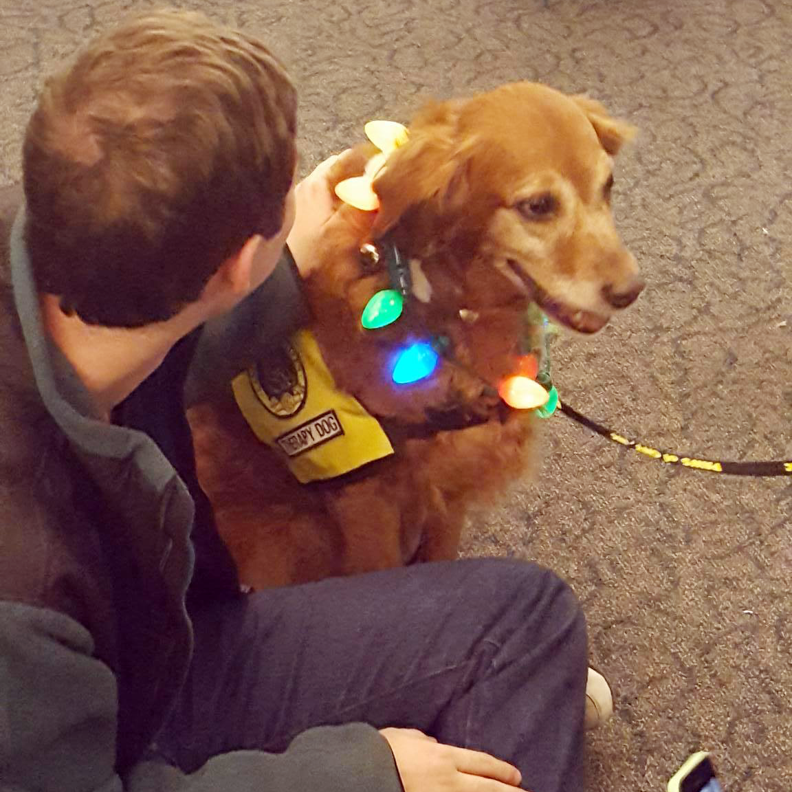 Pet_Therapy_Oswego_Flyer_and_Friend