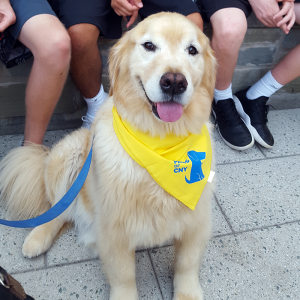 Pet_Therapy_Syracuse_University_Scrappy_3