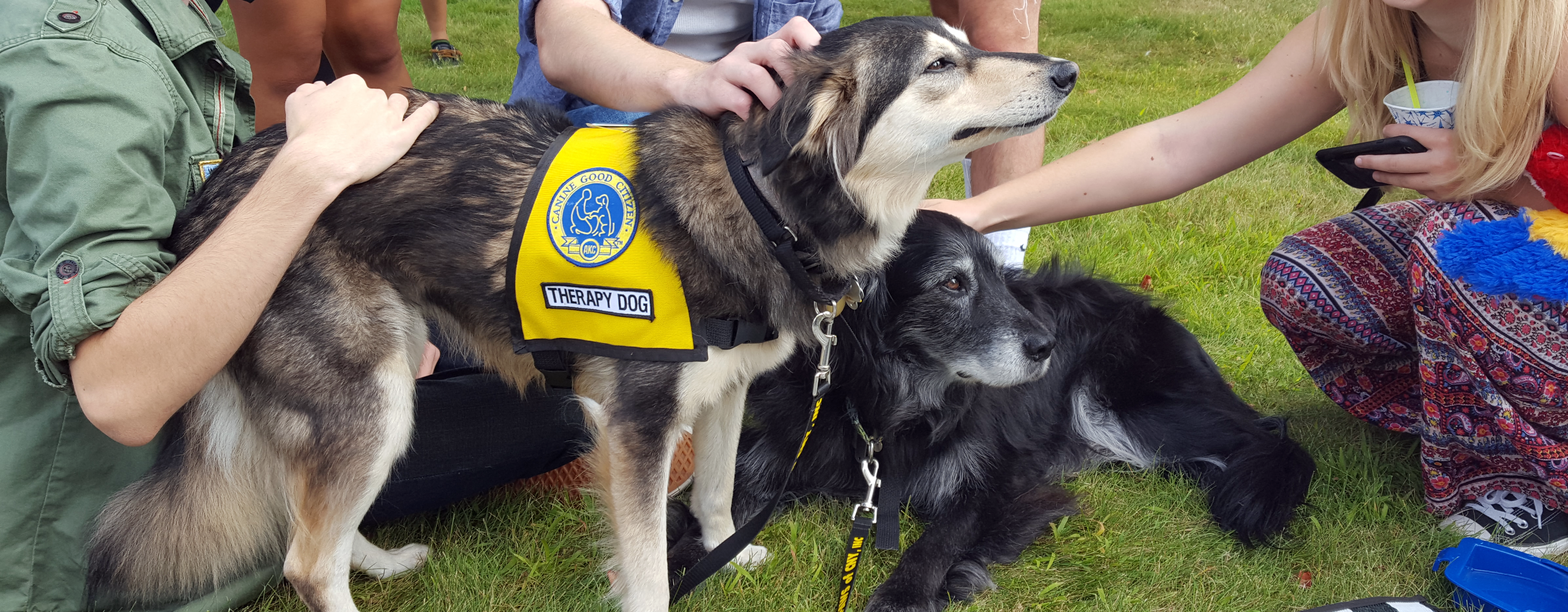 Student_Pet_Therapy_Oswego_Banner