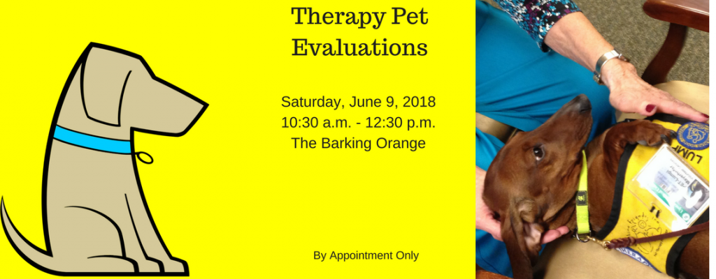 Therapy Pet Evaluations Syracuse