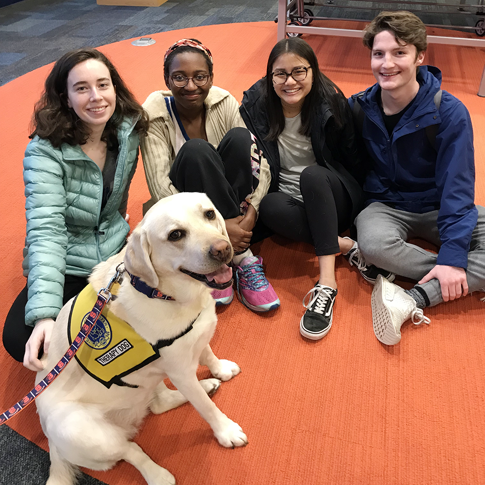 Syracuse College Pet Therapy Partners