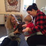 pet-therapy-skaneateles-dachshund-receives-small-pets