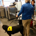 airport_pet_therapy_sue_bert_security_pre_pass
