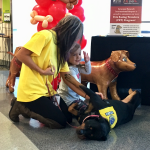 airport_pet_therapy_syracuse_diva_friend_3