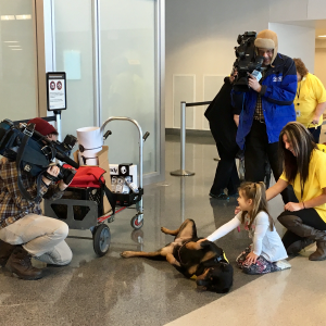 airport_pet_therapy_syracuse_diva_and_friend_filming