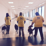 airport_pet_therapy_team