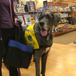 Barnes & Noble Bookfair Syracuse Pet Therapy