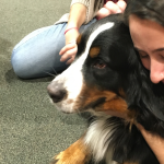 Syracuse University pet Therapy