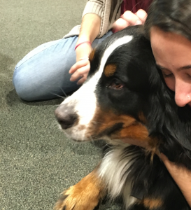 Syracuse University pet Therapy