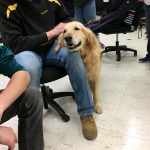 pet_therapy_morrisville_cody_2