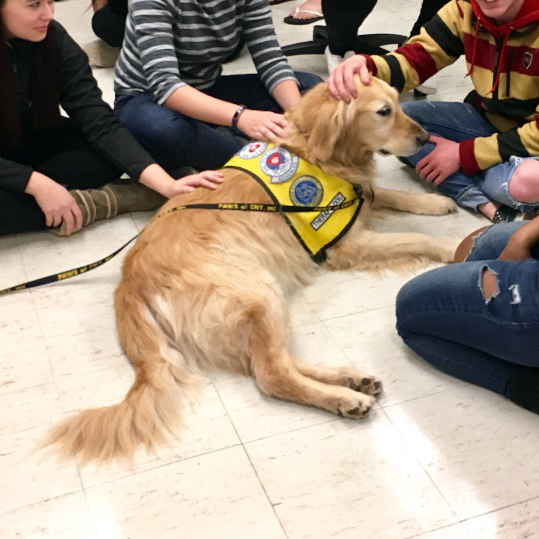 morrisville-students-de-stress-with-therapy-dogs