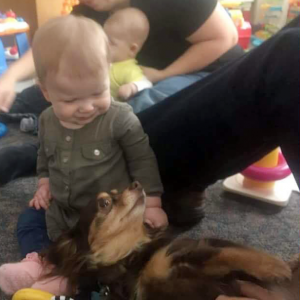 Moms_and_Childcare_Cooperative_Pet_Therapy_1