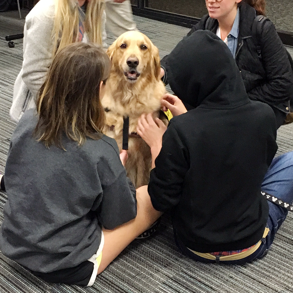 Pet Therapy at Syracuse University's Brewster Hall with Ellie