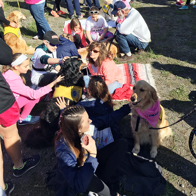 PAWS of CNY Therapy Dogs attend Race for the Cure