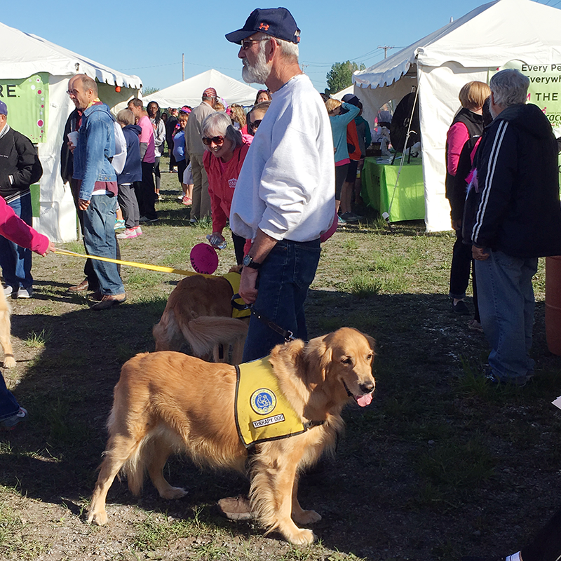 Therapy Dog Cody and owner Eric meet with participants at the Race for the Cure