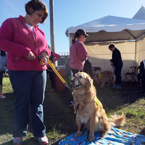 Therapy Dog Piper meets with participants at the Race for the Cure