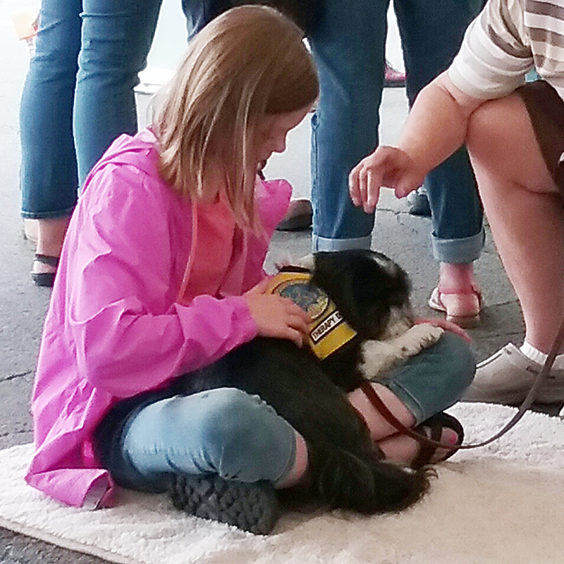 Therapy Dog Sammy Attends Employee Wellness Event in Oswego