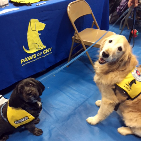 Elmcrest_Wellness_Fair_2017_Pet_Therapy_Sparky_and_Molly
