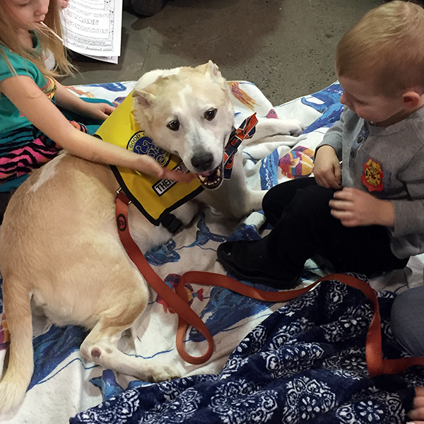 Pet-Therapy Teams at Syracuse Kids Expo - Dutch