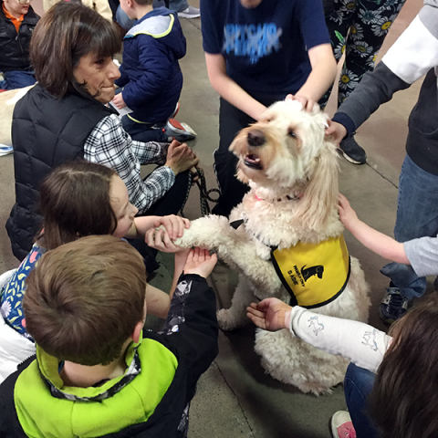 Pet-Therapy-Syracuse-Kids_Expo_Sadie