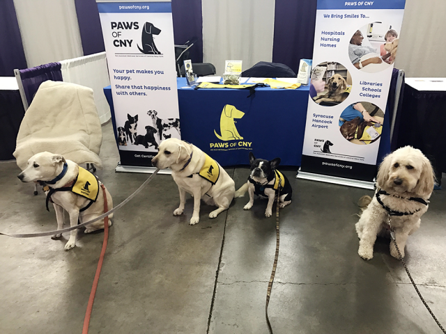 Team_at_ExpoPet-Therapy-Syracuse-Kids_Team 2