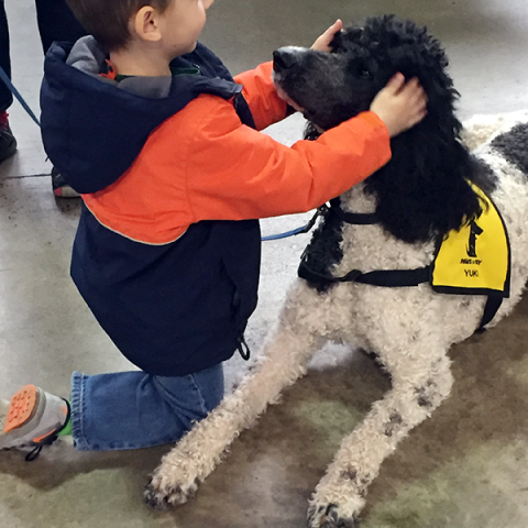 Pet-Therapy Teams at Syracuse Kids Expo - Yuki