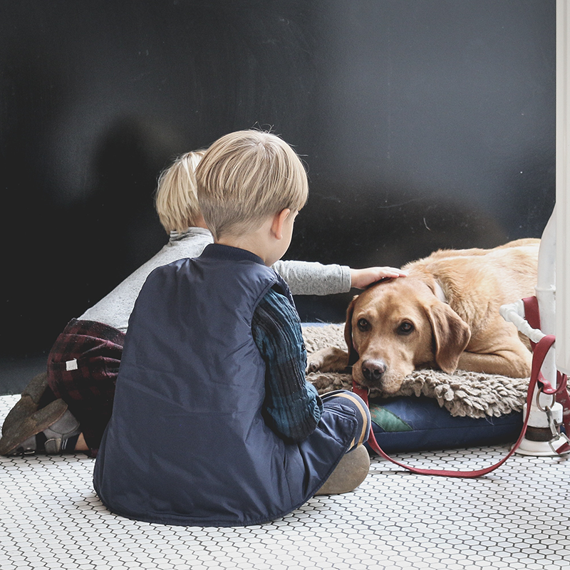 Pet_Therapy_not_All_Day_School_Attendance