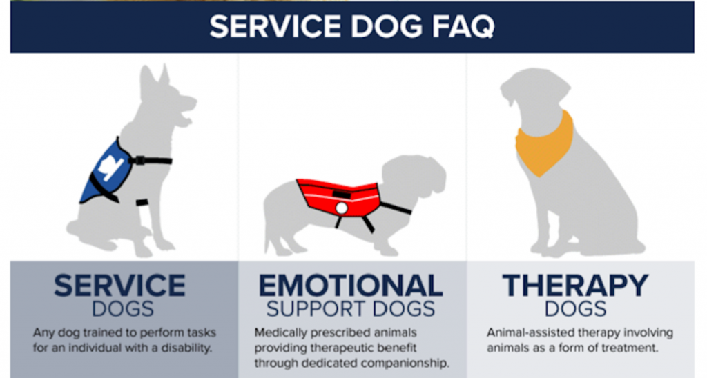 Service_v_Support_v_Therapy_Dog