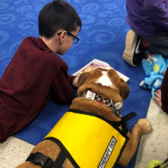 Central New York Pet Therapy Reading Programs