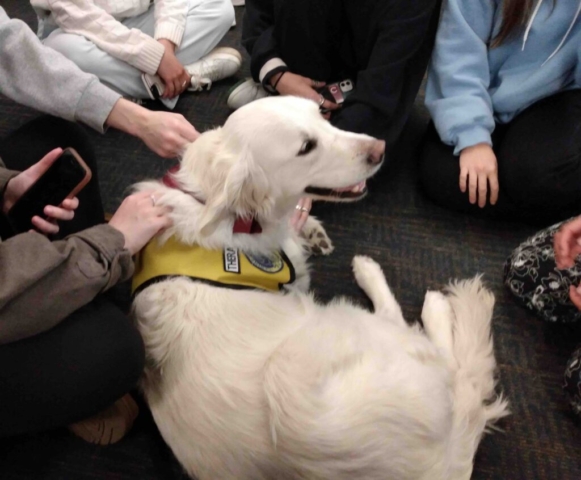 College Pet Therapy Central New York