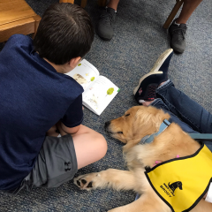 Central New York Pet Therapy Reading Programs