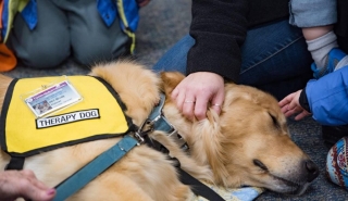 Central New York Pet Therapy Reading Programs