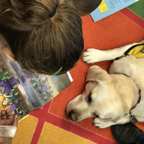 Central New York Pet Therapy Reading Programs