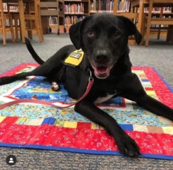 Central New York Pet Therapy Reading Programs