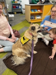 Central New York Pet Therapy Reading Programs