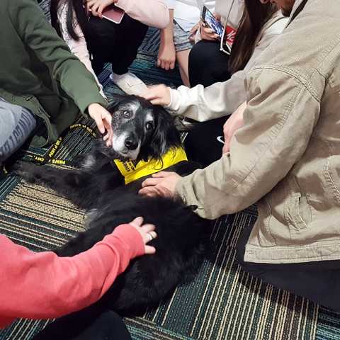 College Pet Therapy Central New York