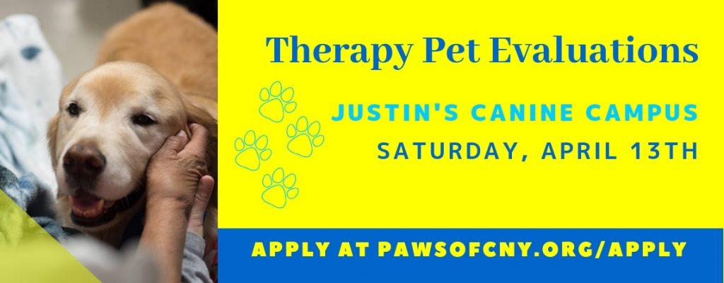 Syracuse Pet Therapy Evaluations
